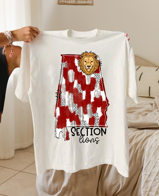 Section Lions (state)