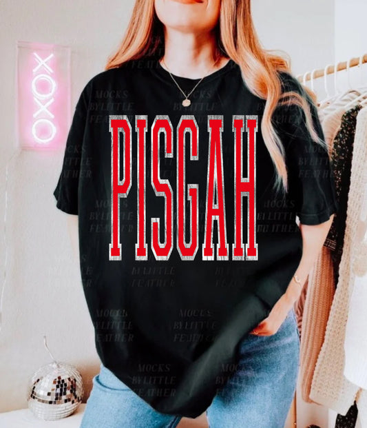 Pisgah Silver Metallic Outline