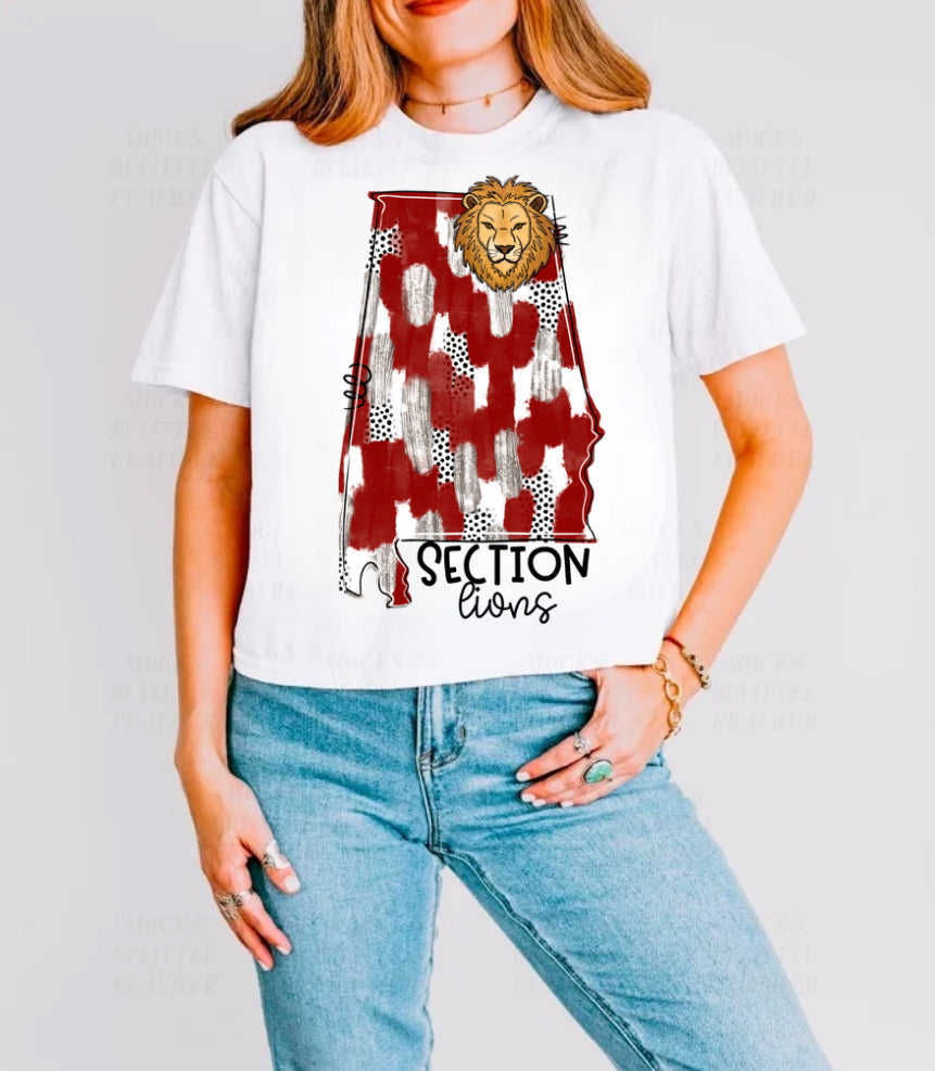 Section Lions (state)